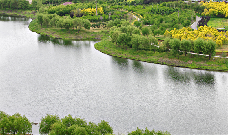 青年公園實(shí)拍圖.jpg